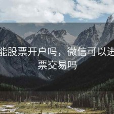 微信能股票开户吗，微信可以进行股票交易吗