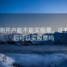 证券刚开户能不能买股票，证券开户后可以买股票吗