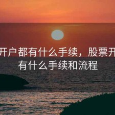 股票开户都有什么手续，股票开户都有什么手续和流程