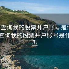 如何查询我的股票开户账号是什么，如何查询我的股票开户账号是什么类型