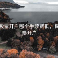 洛阳股票开户哪个手续费低，偃师股票开户