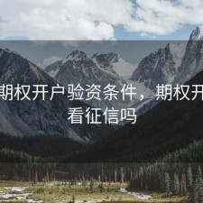 股票期权开户验资条件，期权开户要看征信吗