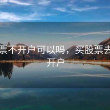买股票不开户可以吗，买股票去哪里开户