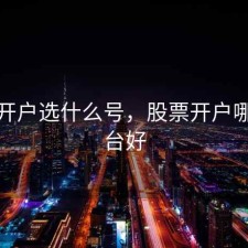 股票开户选什么号，股票开户哪个平台好