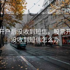 股票开户后没收到短信，股票开户后没收到短信怎么办