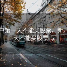 新开户第一天不能买股票，新开户当天不能买股票吗
