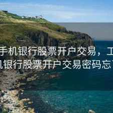 工行手机银行股票开户交易，工行手机银行股票开户交易密码忘了