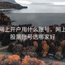 股票网上开户用什么账号，网上开通股票账号选哪家好
