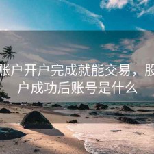 股票账户开户完成就能交易，股票开户成功后账号是什么