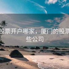 厦门股票开户哪家，厦门的股票有哪些公司