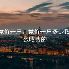 股票竞价开户，竞价开户多少钱,是怎么收费的
