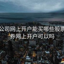 证券公司网上开户能买哪些股票，证券网上开户可以吗