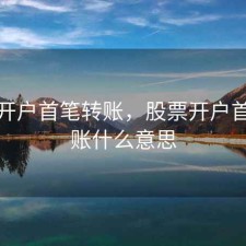 股票开户首笔转账，股票开户首笔转账什么意思
