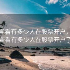 如何查看有多少人在股票开户，如何查看有多少人在股票开户了