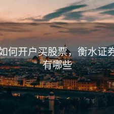 衡水如何开户买股票，衡水证券公司有哪些