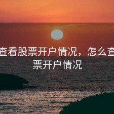 怎样查看股票开户情况，怎么查看股票开户情况