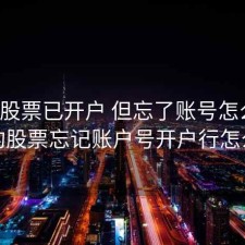 购买股票已开户 但忘了账号怎么办，买的股票忘记账户号开户行怎么办
