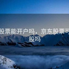 京东股票能开户吗，京东股票可以炒股吗