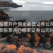 成都股票开户佣金最低证券公司，成都股票开户哪家证券公司好