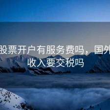 国外股票开户有服务费吗，国外股票收入要交税吗