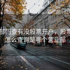 哪个部门查有没股票开户，股票开户怎么查询是哪个营业部