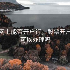 股票网上能否开户行，股票开户网上可以办理吗