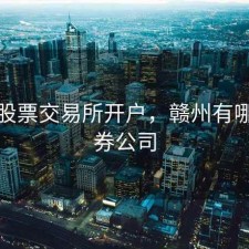 赣州股票交易所开户，赣州有哪些证券公司