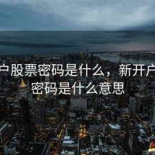 新开户股票密码是什么，新开户股票密码是什么意思