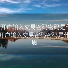 股票开户输入交易密码密码是什么，股票开户输入交易密码密码是什么意思