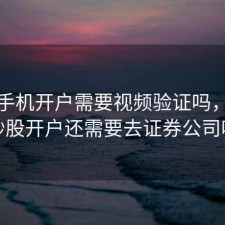 股票手机开户需要视频验证吗，手机炒股开户还需要去证券公司吗