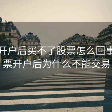 股票开户后买不了股票怎么回事，股票开户后为什么不能交易