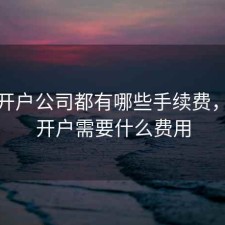 股票开户公司都有哪些手续费，股票开户需要什么费用