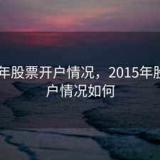 2015年股票开户情况，2015年股票开户情况如何
