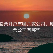厦门股票开户有哪几家公司，厦门股票公司有哪些