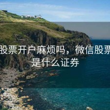 微信股票开户麻烦吗，微信股票开户是什么证券