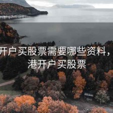 香港开户买股票需要哪些资料，去香港开户买股票