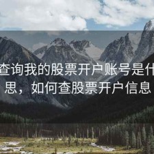 如何查询我的股票开户账号是什么意思，如何查股票开户信息