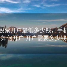 手机股票开户最低多少钱，手机炒股如何开户 开户需要多少钱