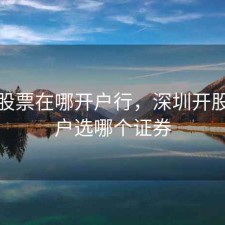深圳股票在哪开户行，深圳开股票账户选哪个证券