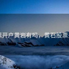 股票开户黄岩有吗，黄石股票开户