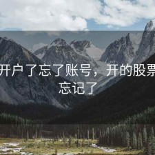 股票开户了忘了账号，开的股票账户忘记了