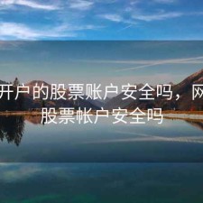 网上开户的股票账户安全吗，网上开股票帐户安全吗