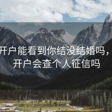 股票开户能看到你结没结婚吗，股票开户会查个人征信吗