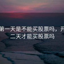开户第一天是不能买股票吗，开户第二天才能买股票吗