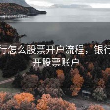 在银行怎么股票开户流程，银行如何开股票账户