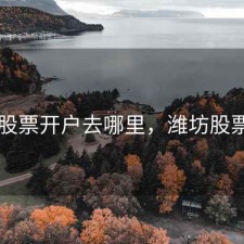 青州股票开户去哪里，潍坊股票开户