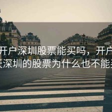 当天开户深圳股票能买吗，开户第一天深圳的股票为什么也不能买