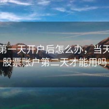 股票第一天开户后怎么办，当天开立股票账户第二天才能用吗