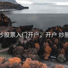 抄股票入门开户，开户 炒股