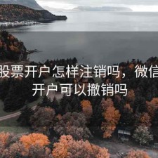 微信股票开户怎样注销吗，微信炒股开户可以撤销吗